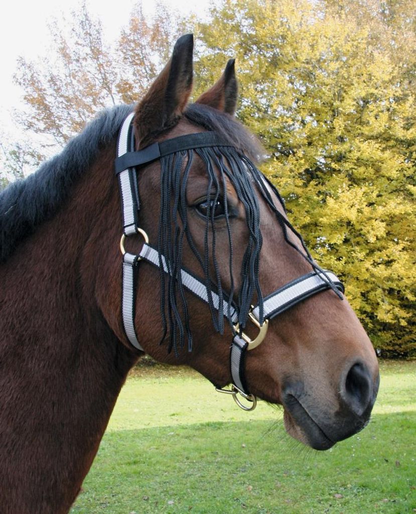 Fliegenfransenband mit Velcro- Verschluß, schwarz, WB