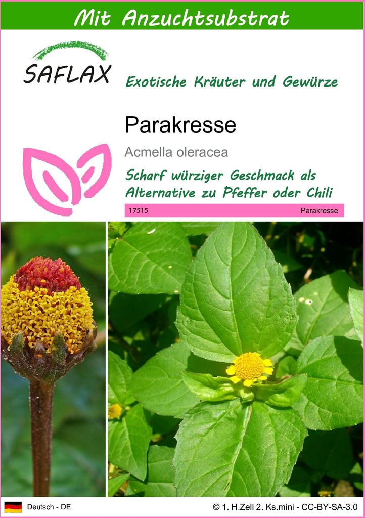 SAFLAX - Parakresse - Acmella oleracea - 500 Samen - Mit Produktbild 