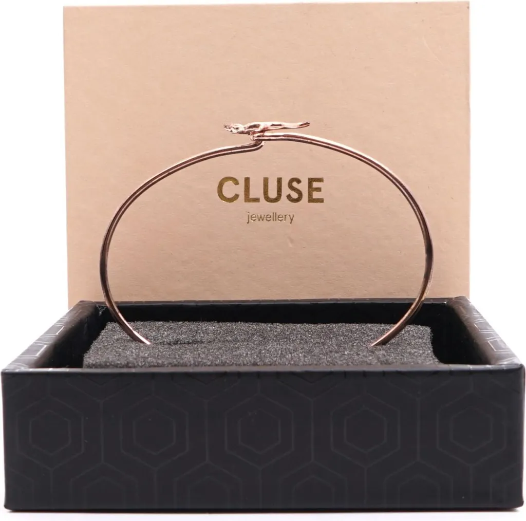 Regalo Donna: Bracciale CLUSE Rosa Oro CLJ10020 - Confezione Inclusa