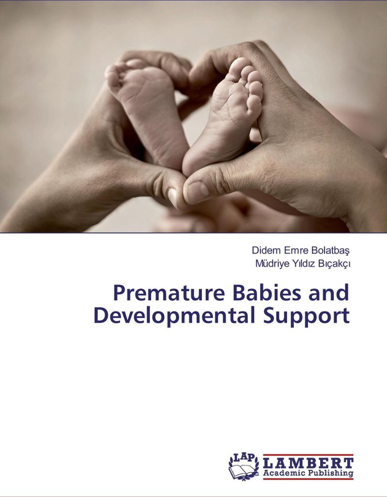 Premature Babies and Developmental Support