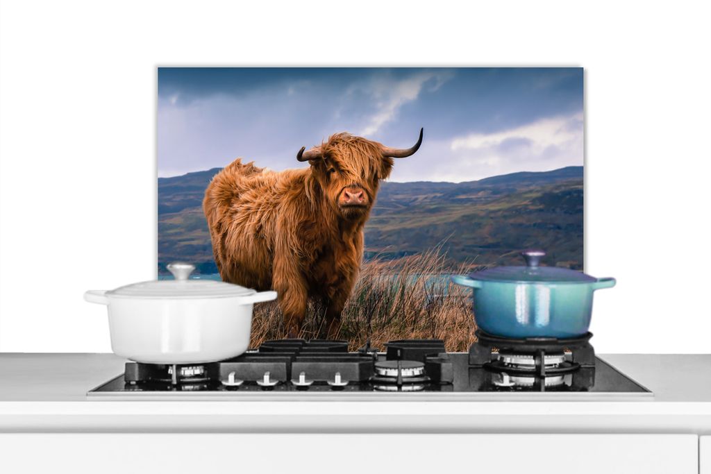 KitchenYeah Spritzschutz Küche - Küchenrückwand - Wandschutz für Herd und Spüle - Schottische Hochlandrind - Himmel - Natur 60x40 - Alu-Dibo...