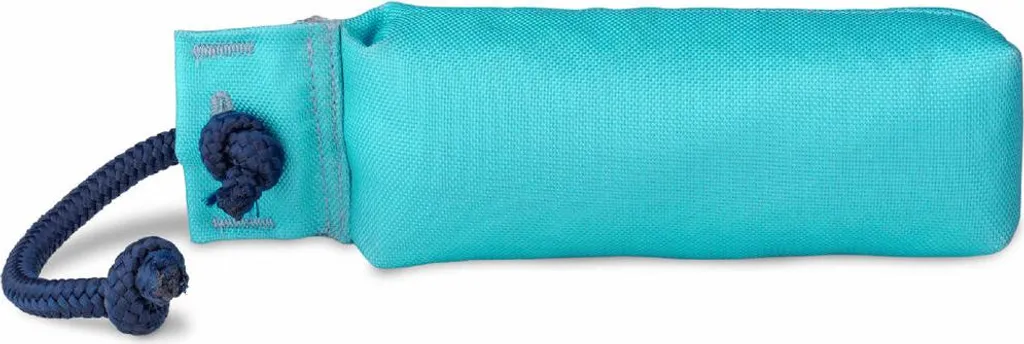Coachi giocattolo da addestramento DUMMY Blu