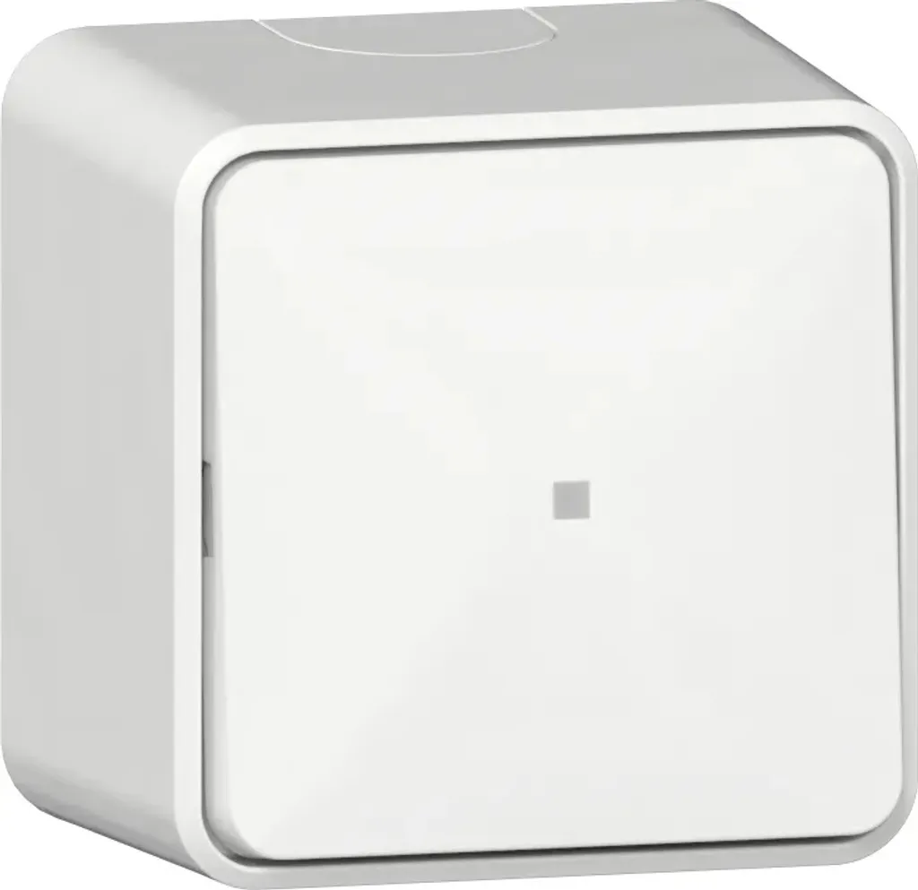 Commande d'Éclairage GIRA 315613 Bouton-poussoir Inverseur de Contrôle