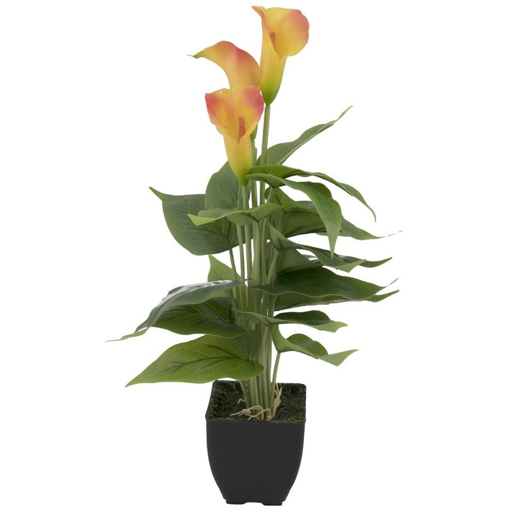 EUROPALMS Calla mini, Kunstpflanze, gelb orange, 43cm Produktbild 