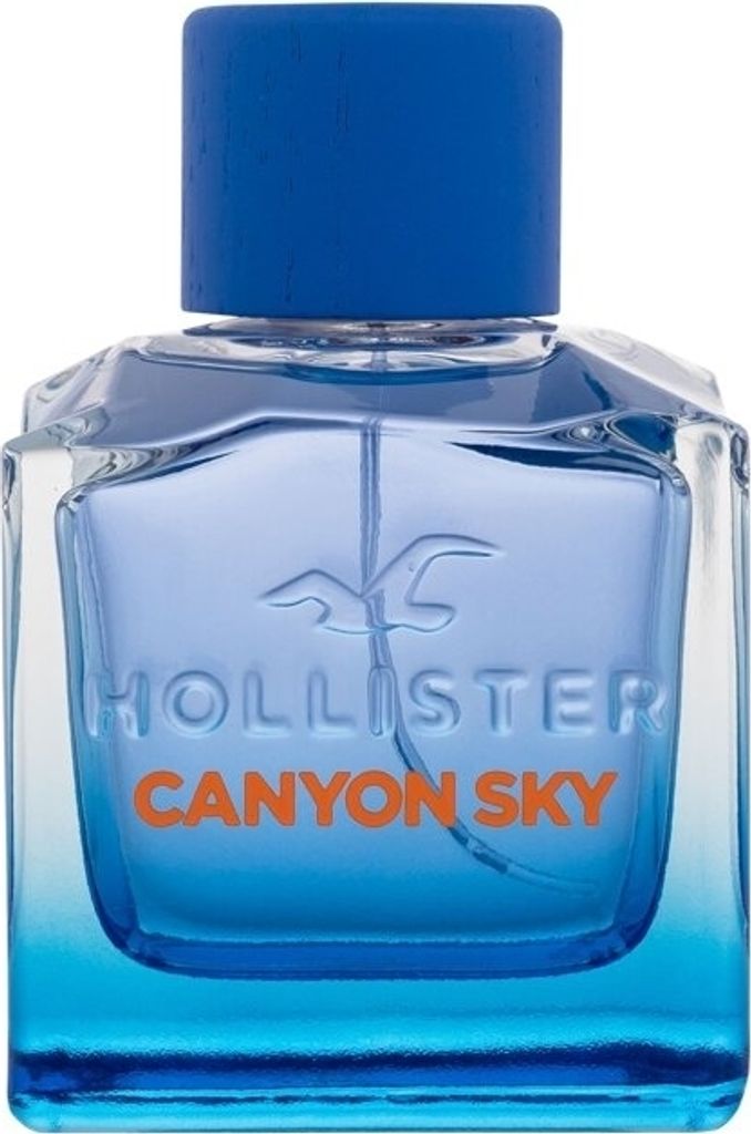 Hollister Canyon Sky For Him Eau de Toilette für Herren 100 ml