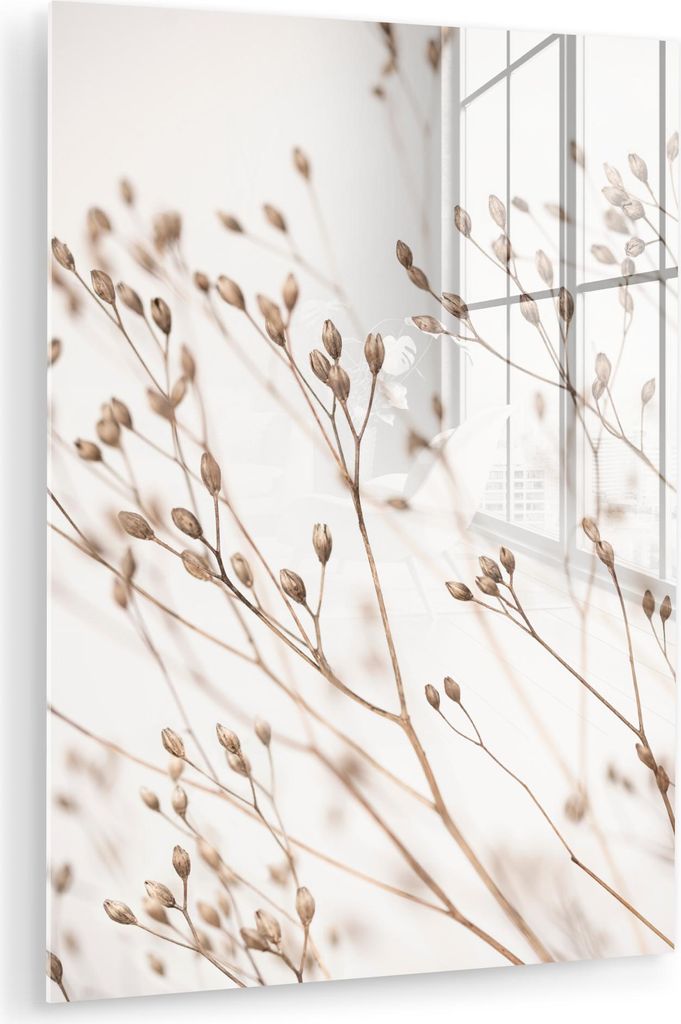 MuchoWow Glasbilder - Bilder auf Wandbild - Foto auf Glas Natur - Pflanzen - Zweig - Weiß - Braun - Trockenblumen 30x40 cm Wanddekoration aus Glas...
