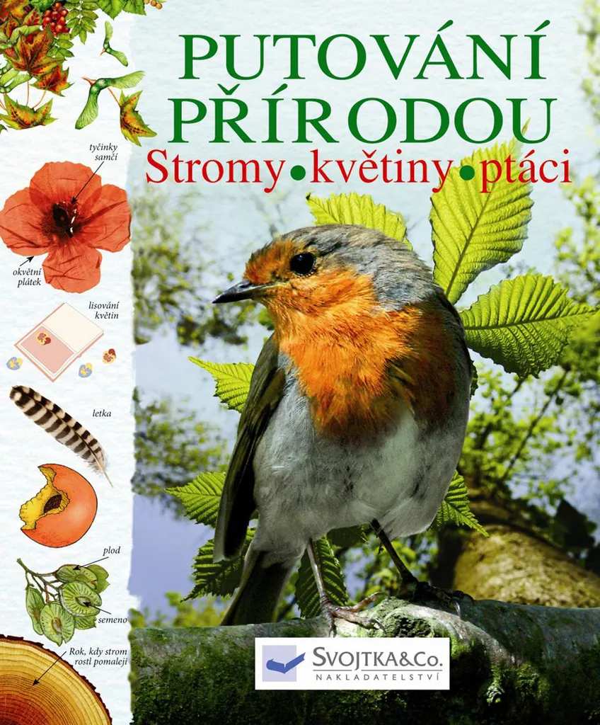 Guide Putování přírodou : arbres fleurs et oiseaux pour enfants curieux