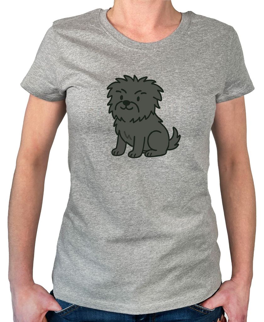 Huuraa Damen T-Shirt Affenpinscher Comic Affi XXL Sport Grey Bio Baumwolle Fairtrade Damenshirt Geschenkidee