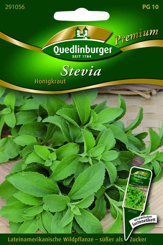 Stevia Süßkraut | Steviasamen von Quedlinburger Produktbild 