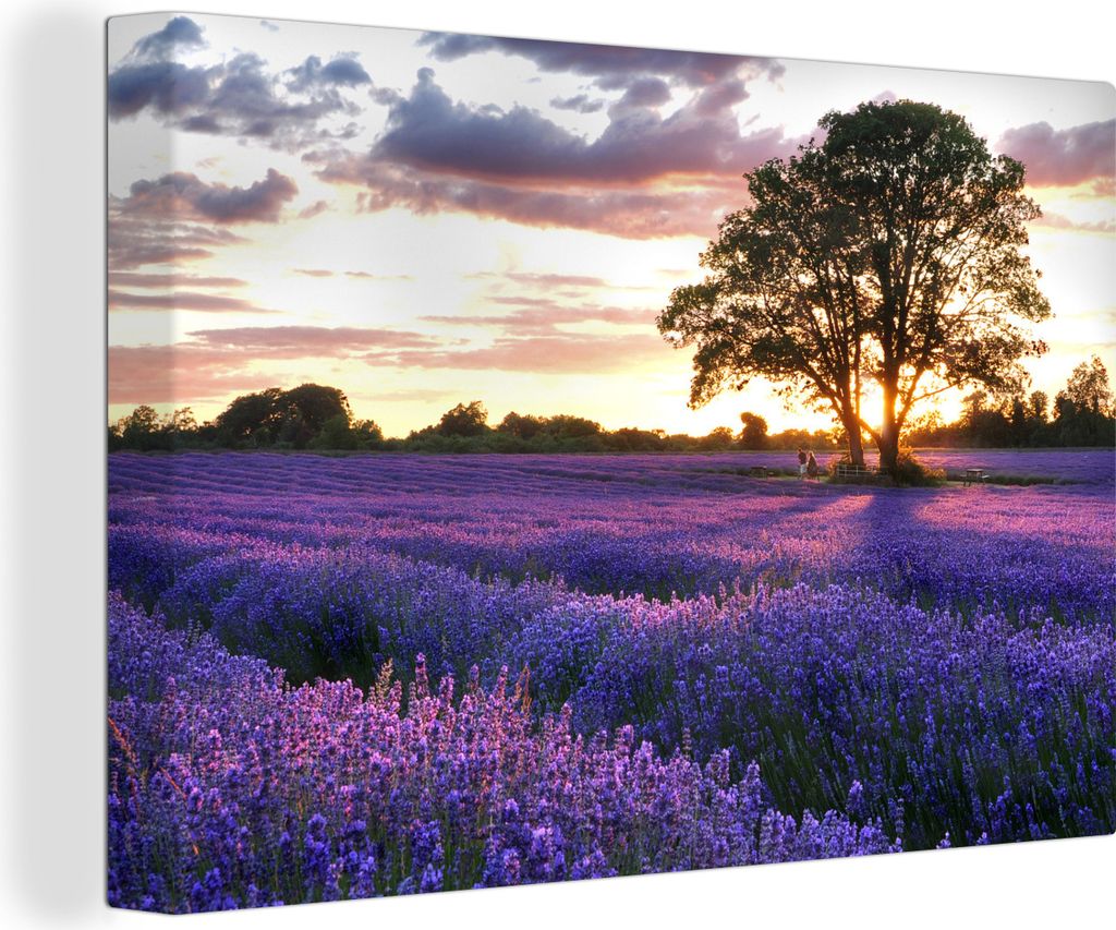 OneMillionCanvasses - Leinwandbilder - 150x100 cm, Lavendelfelder in England bei Sonnenuntergang, Wandbilder Kunstdruck Wanddekoration