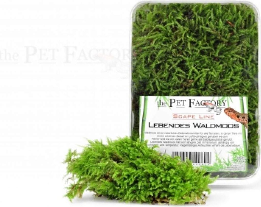 Lebendes Terrarienmoos als Dekoration und Eiablagesubstrat Produktbild 