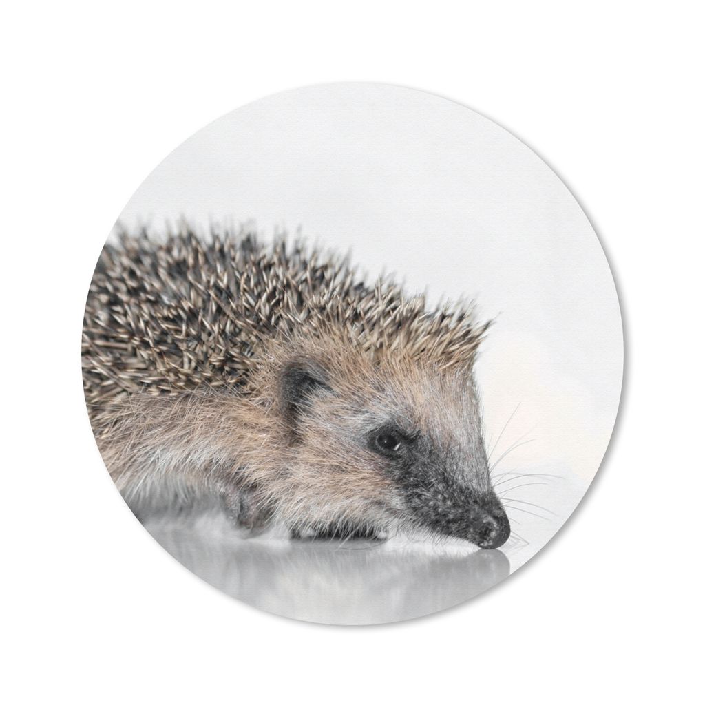 MuchoWow Mauspad Mousepad Igel - Weiß - Braun 40x40 cm - Mousepads - Maus Mat - Pad - Mausunterlage - Schreibtisch Accessoires