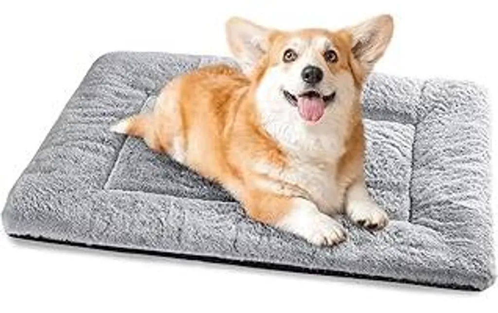 Cuccia Cane Piccola Taglia Baodan 75x50 cm - Morbido Cuscino Antiscivolo