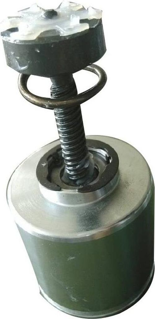 FAST Bremssattel-Kolben für IVECO DAILY IV Kasten/Kombi 60mm