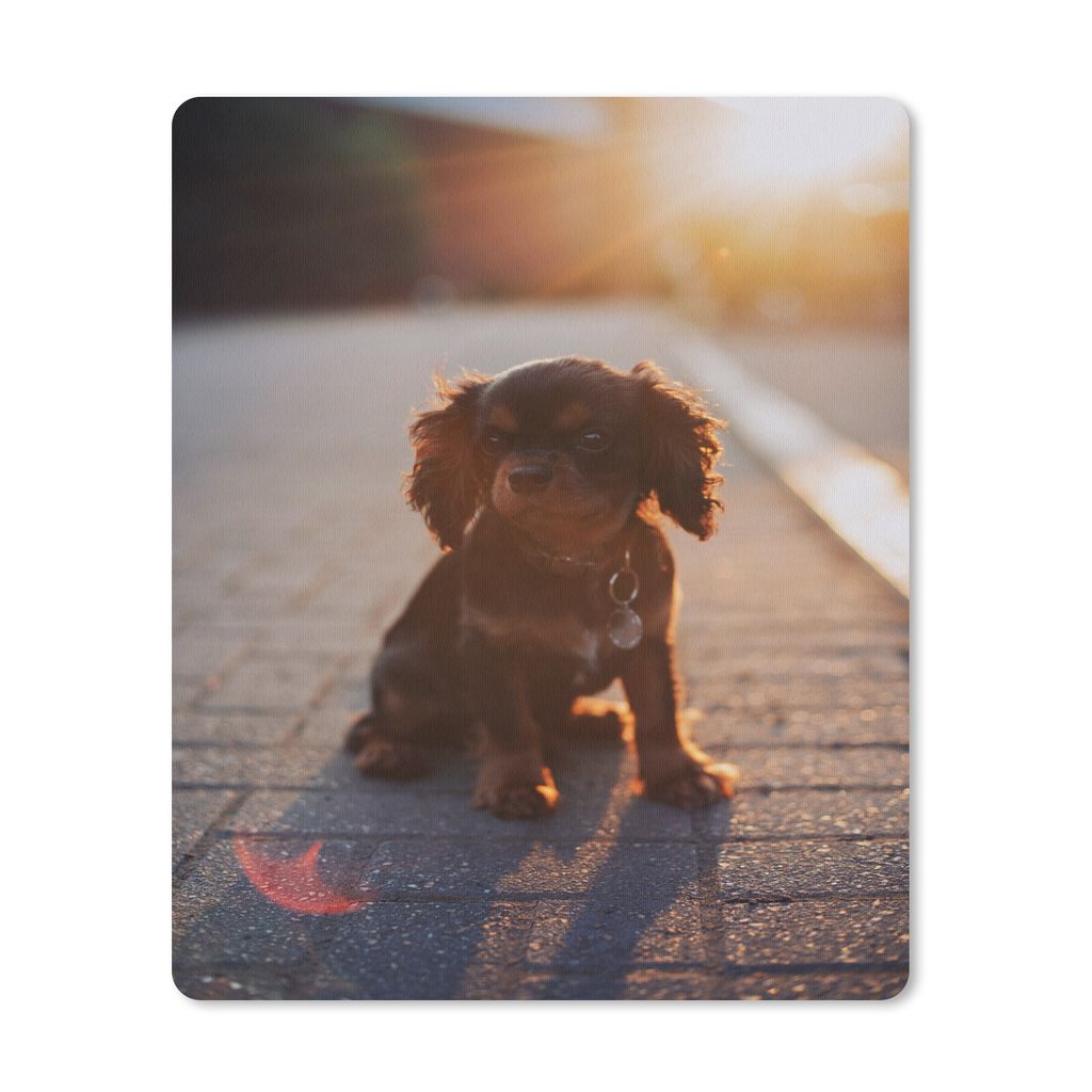 MuchoWow Mauspad Mousepad Sonnenschein über dem Cavalier King Charles Spaniel Welpen 19x23 cm - Mousepads - Maus Mat - Pad - Mausunterlage - Mau...