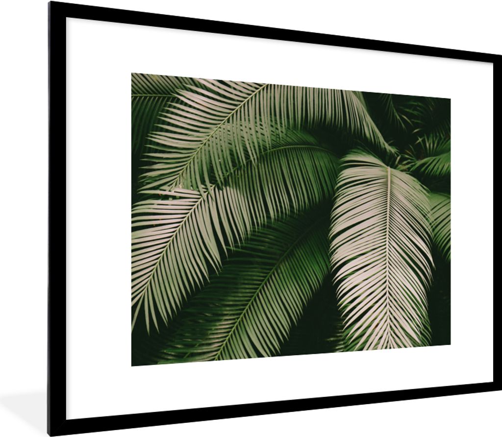 MuchoWow Gerahmtes Poster Palmwedel - Sommer - Tropisch 80x60 cm - Poster mit Schwarzem Bilderrahmen Wandposter Rahmen Foto Bilder - Schlafzimmer...