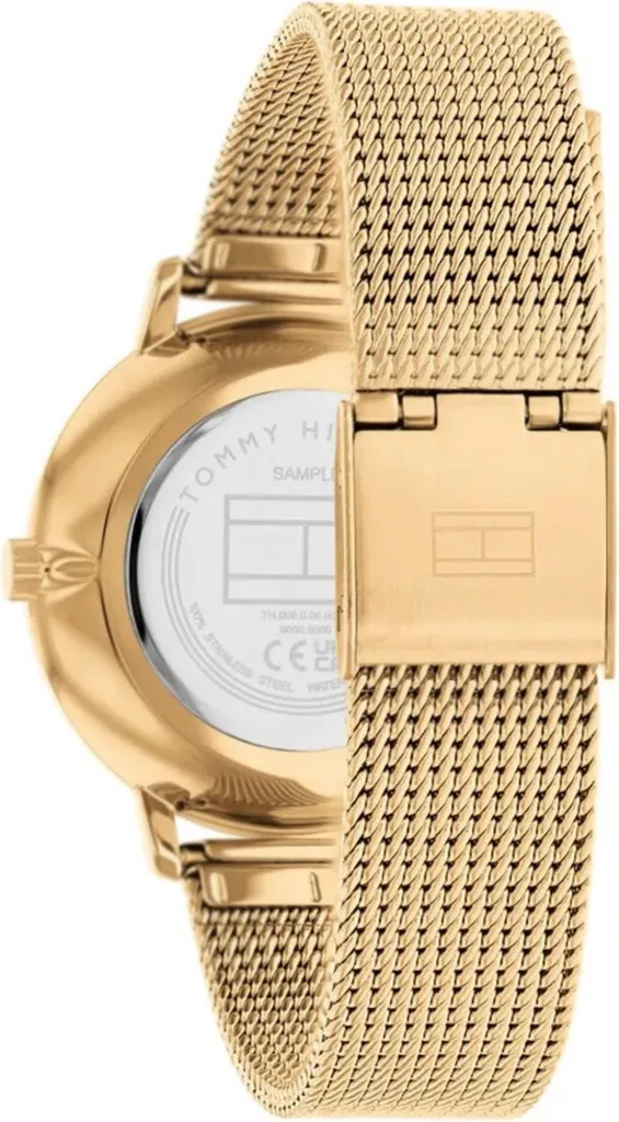 Montre Tommy Hilfiger TY556250 : Fiabilité et Style pour Homme Actif