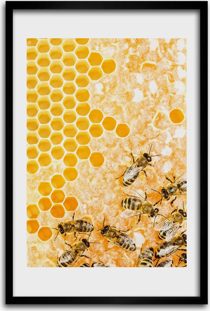 Bild - Bilderrahmen - 40 cm x 60 cm - MDF - Rahmen - Wandkunst - Arbeitsbienen