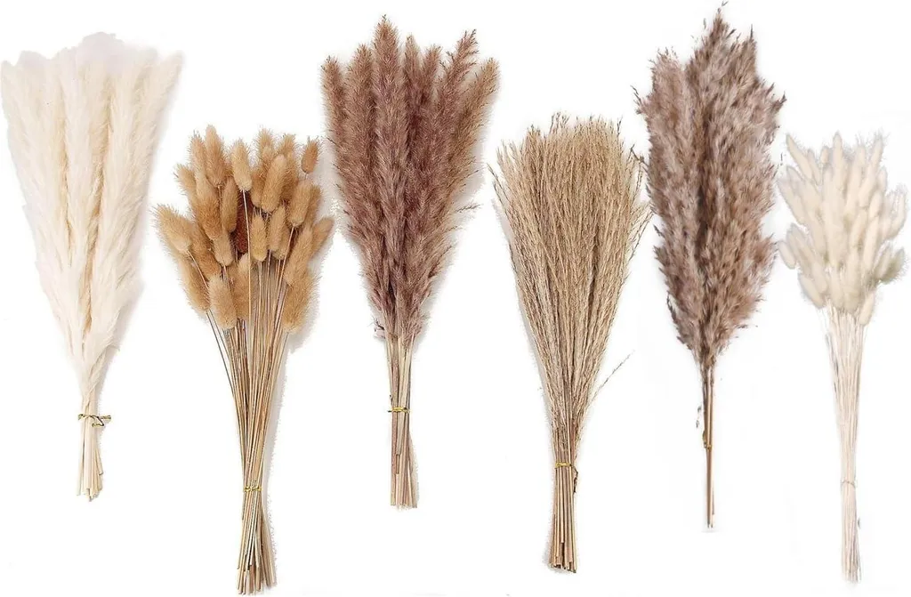Herbe de pampa 110 tiges : kit déco complet sans chute de plumes