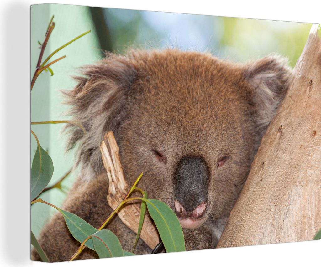 OneMillionCanvasses - Leinwandbilder - 140x90 cm, Koala - Blätter - Grau, Wandbilder Kunstdruck Wanddekoration