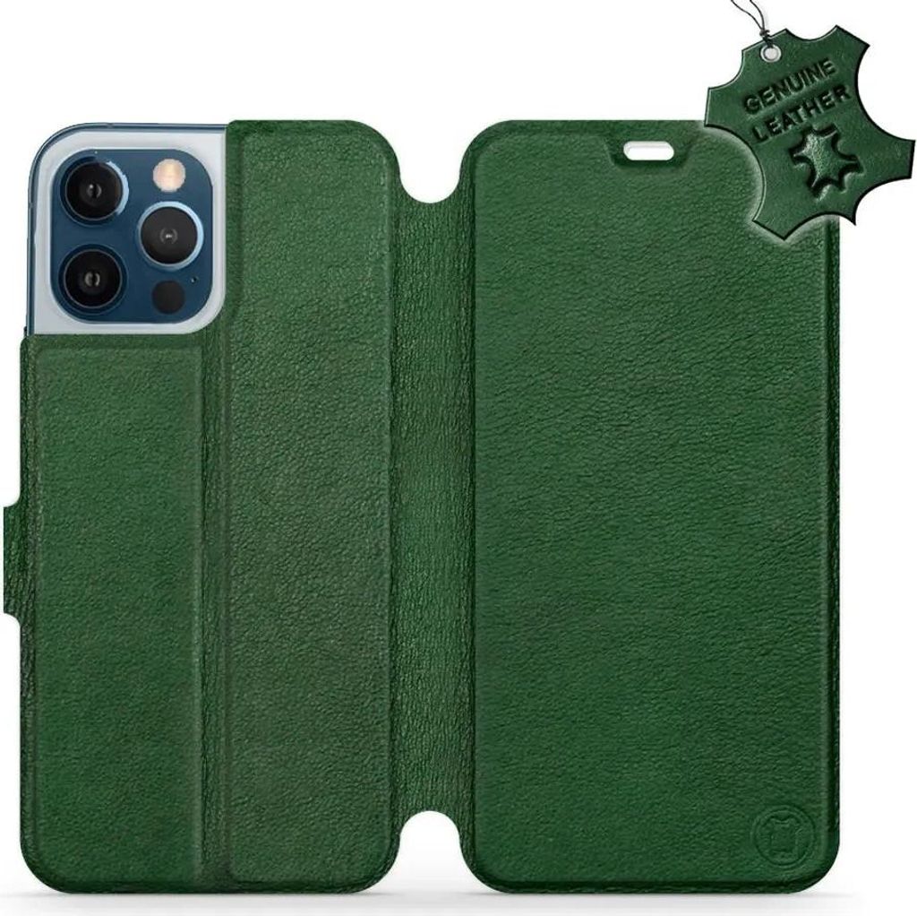 Echtleder Handyhülle für iPhone 12 Pro Max, Mobiwear Leather, Grün