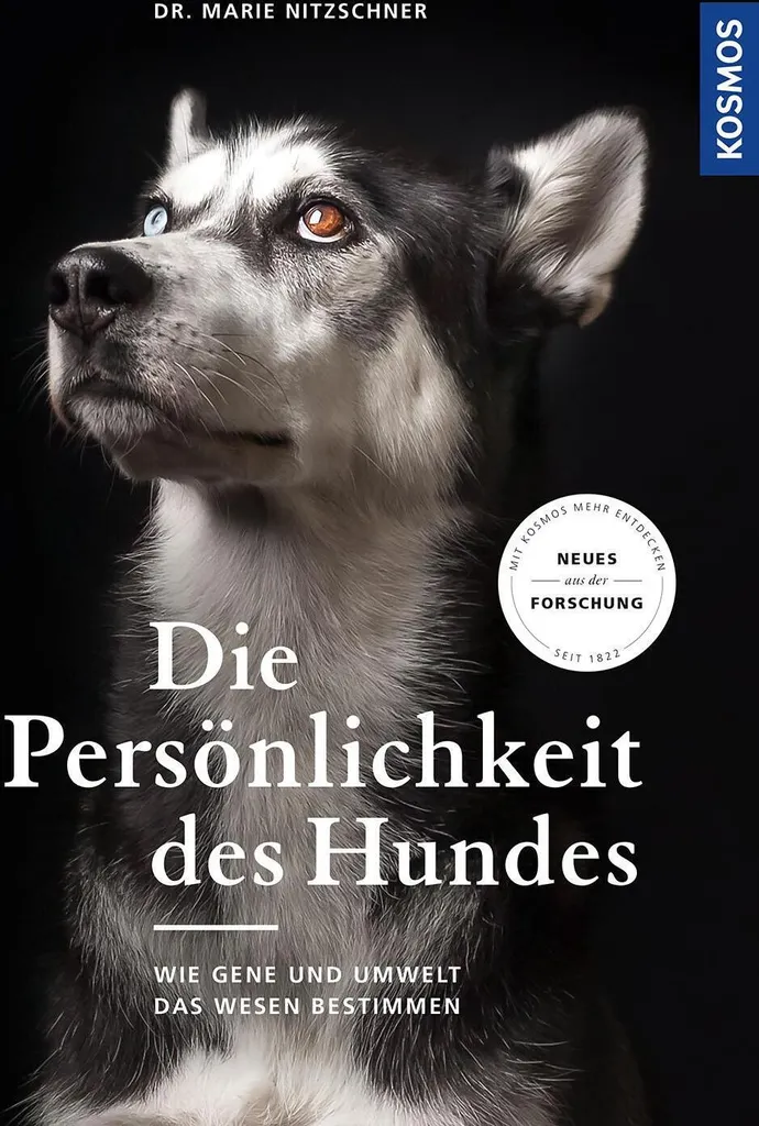 Comprendre la Personnalité du Chien pour une Éducation Réussie à la Maison - 2