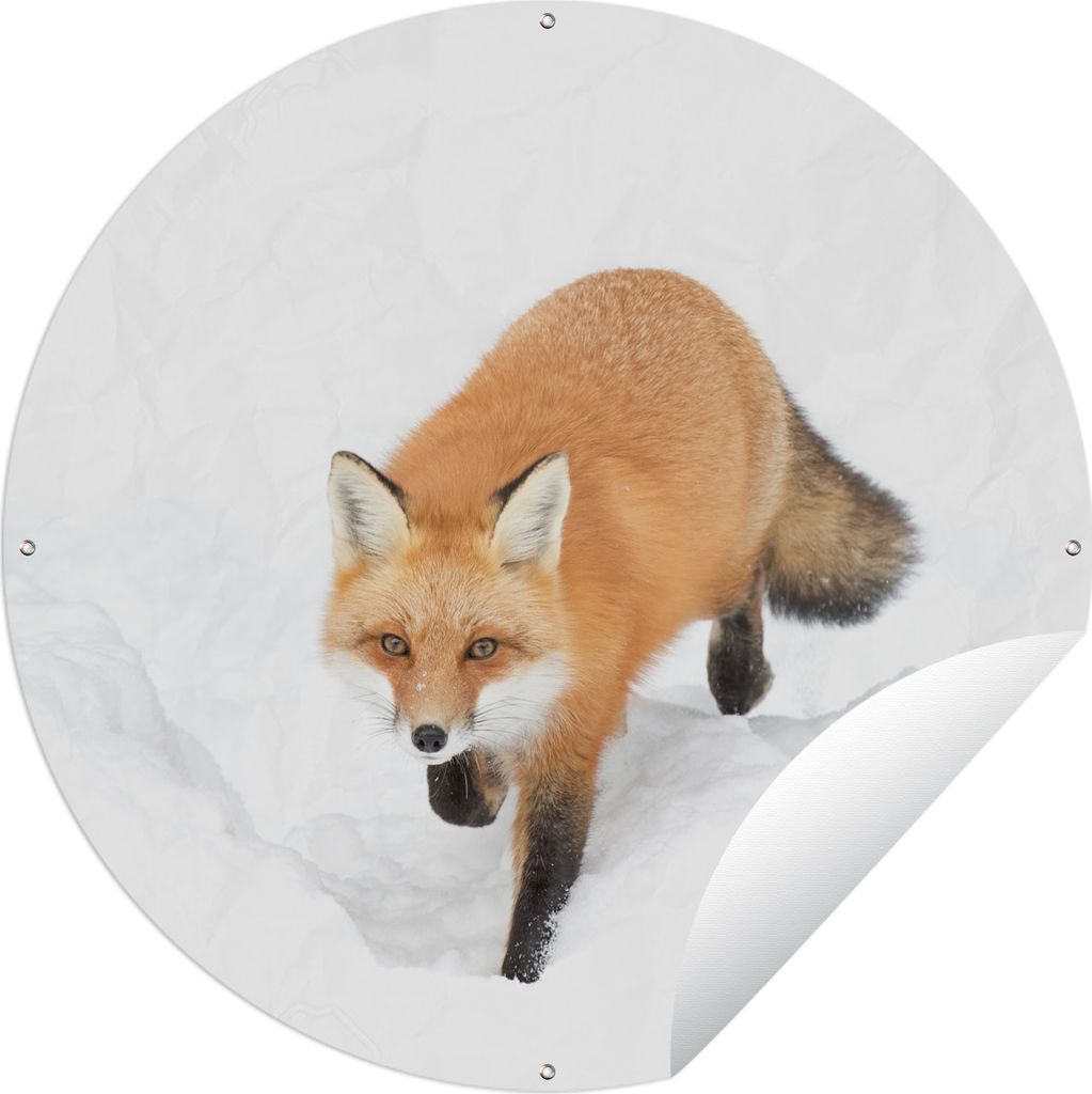 MuchoWow Gartenposter Outdoor-Poster Rund Fuchs - Schnee - Winter Ø 60 cm Gartendeko Rundes Poster draußen