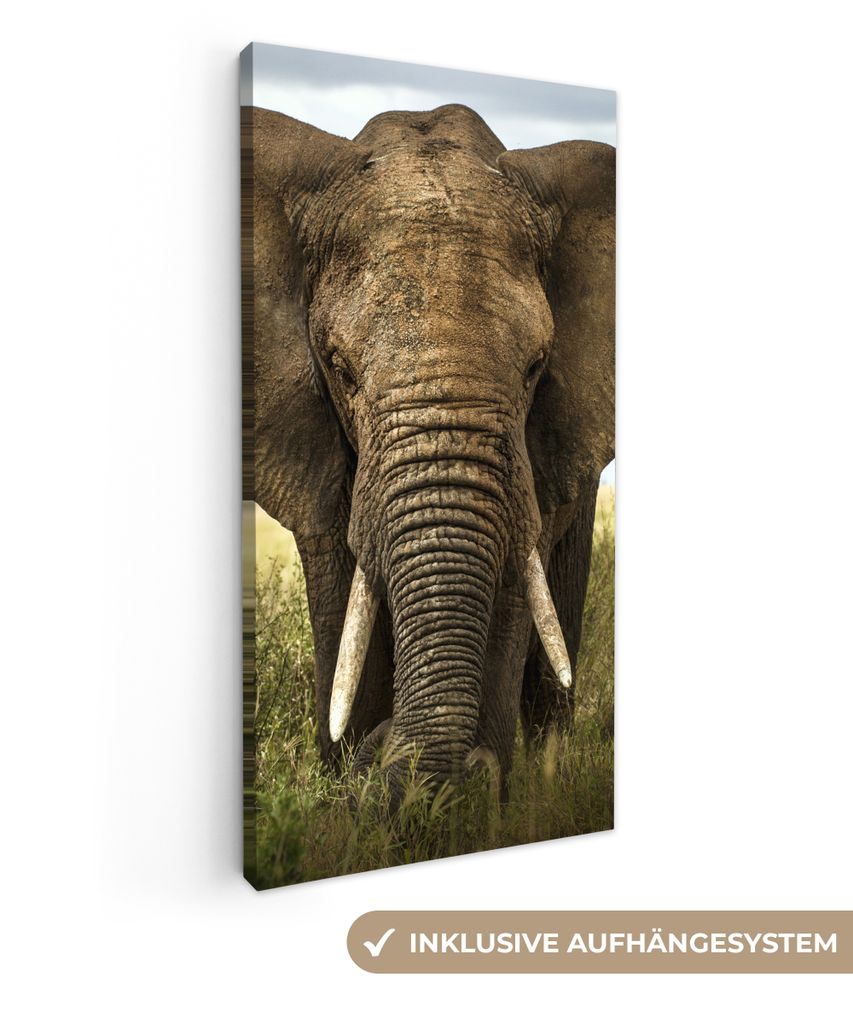 MuchoWow - Leinwandbilder - Elefant - Natur - Gras - Tiere - Landschaft, Wandbild, Wanddeko Bilder Wohnzimmer, 20x40 cm