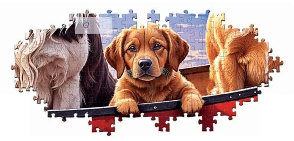 Puzzle 2000 pièces pour adulte grand format Educa multicolore