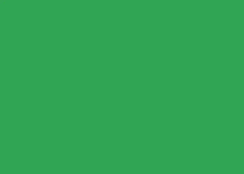 Cartoncino Heyda 50x70 Verde Muschio 25pz - Supporto Creativo 270g