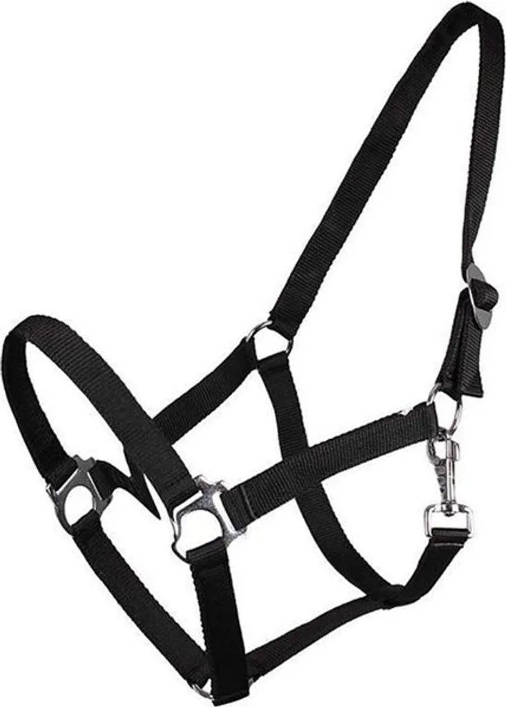 Guida all'acquisto: Capezza QHP Halter Slide Nero per Mini Shet