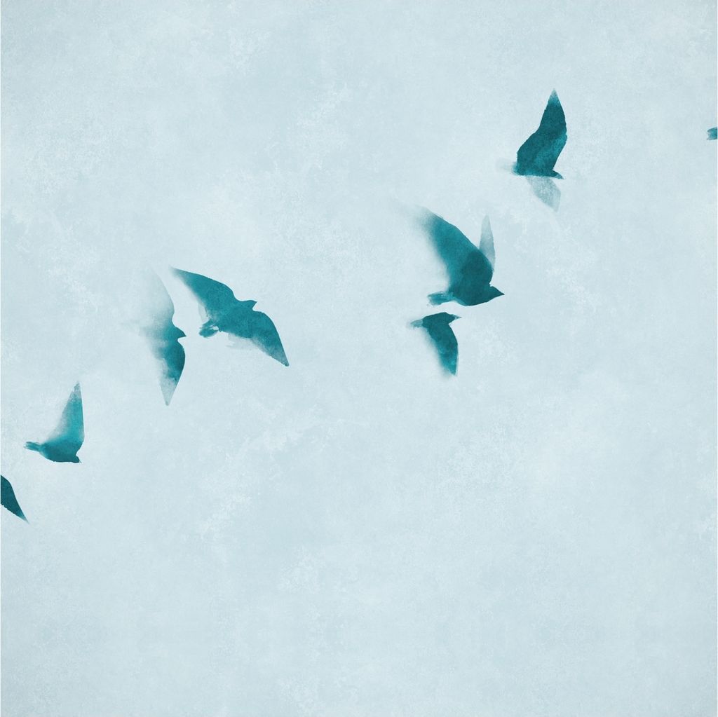 Fototapete Himmel M1-No.11800 | Vliestapete Vögel | Blau | Wohnzimmer | Schlafzimmer | Küche
