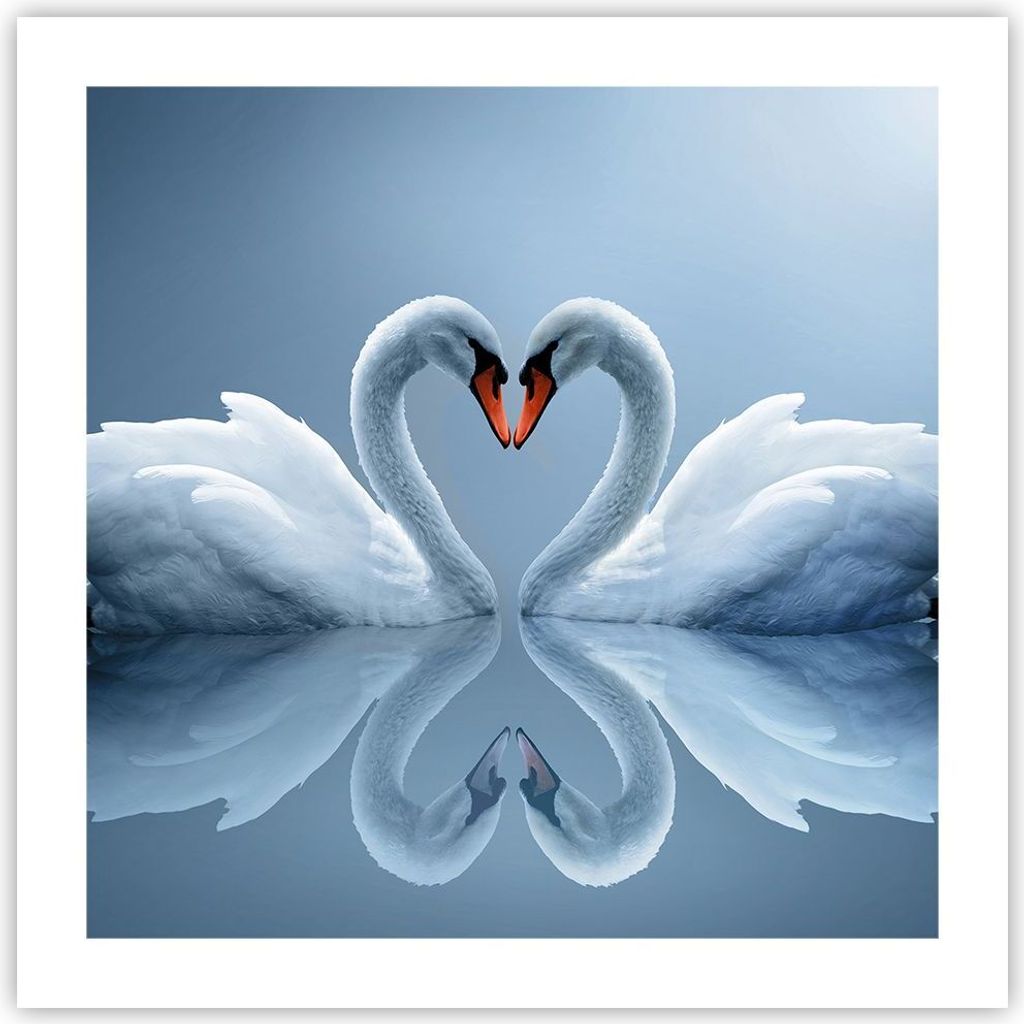 Poster - Poster ohne Rahmen - Ladung Dampf Wasser - 50x50 Produktbild 