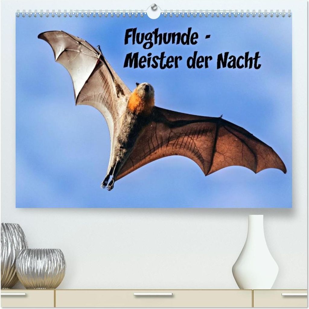 Flughunde - Meister der Nacht (hochwertiger Premium Wandkalender 2026 DIN A2 quer), Kunstdruck in Hochglanz