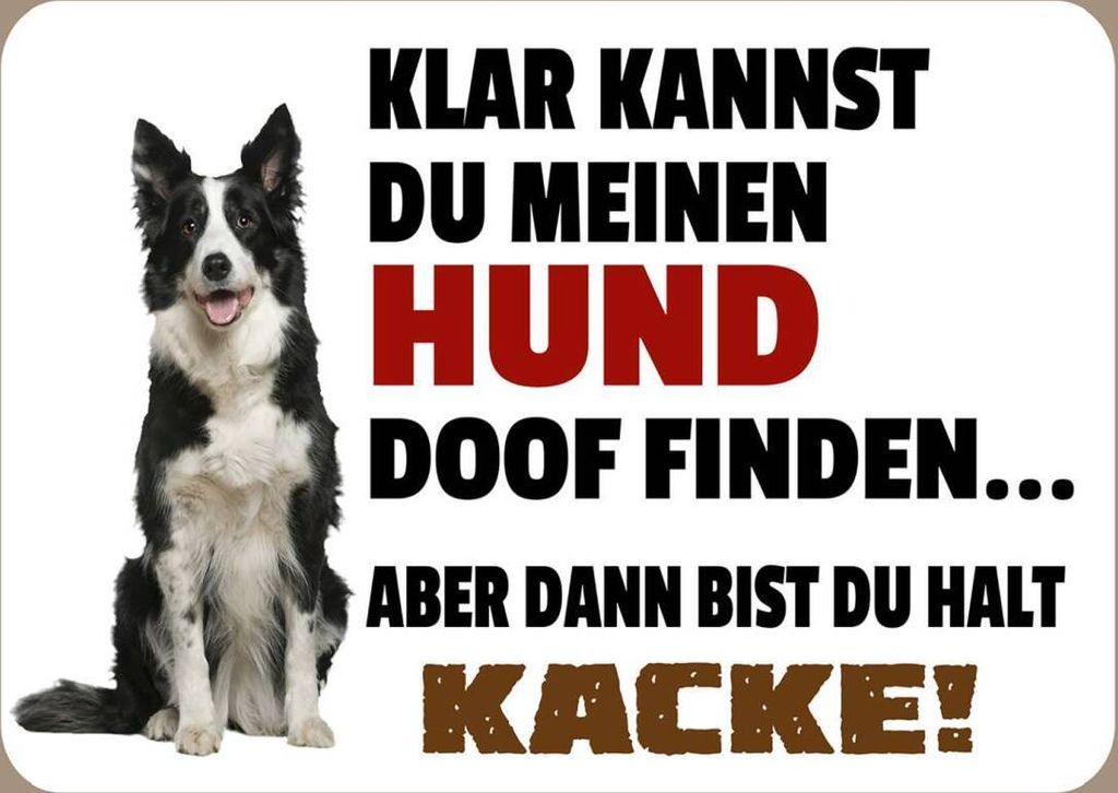 vianmo Holzschild 30x40 cm klar kannst du Hund doof finden