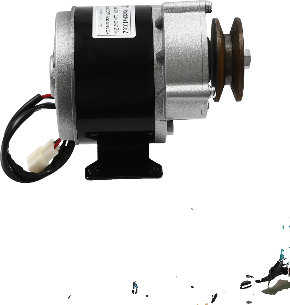 Motoriduttore 12V 250W per Bici Elettrica | Ricambio Professionale