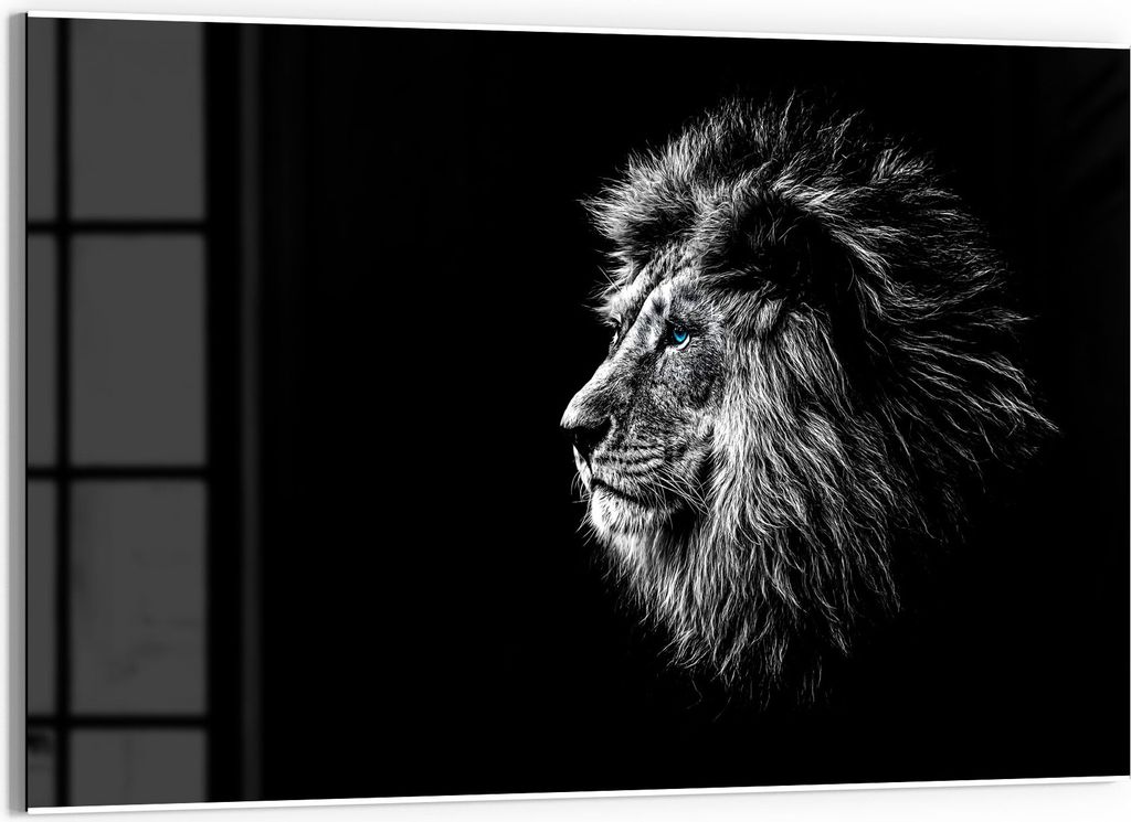 DEQORI Magnettafel Glas 60x40 cm 'König der Tiere im Profil' beschreibbar Whiteboard