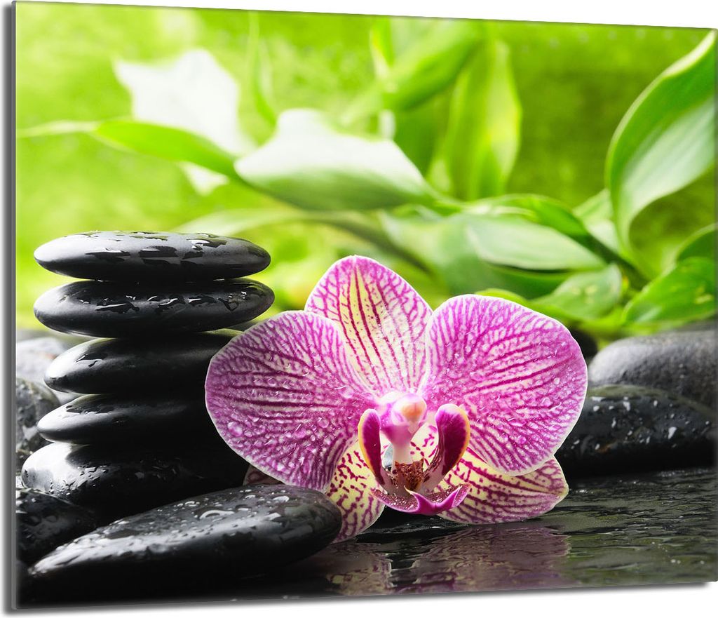 Glasschutzplatte für den Herd 60x52 Orchidea