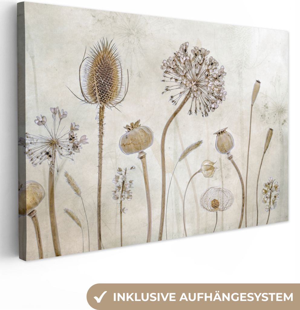 OneMillionCanvasses - Leinwandbilder - 150x100 cm, Blumen - Aquarell - Stilleben - Braun - Vintage, Wandbilder Kunstdruck Wanddekoration