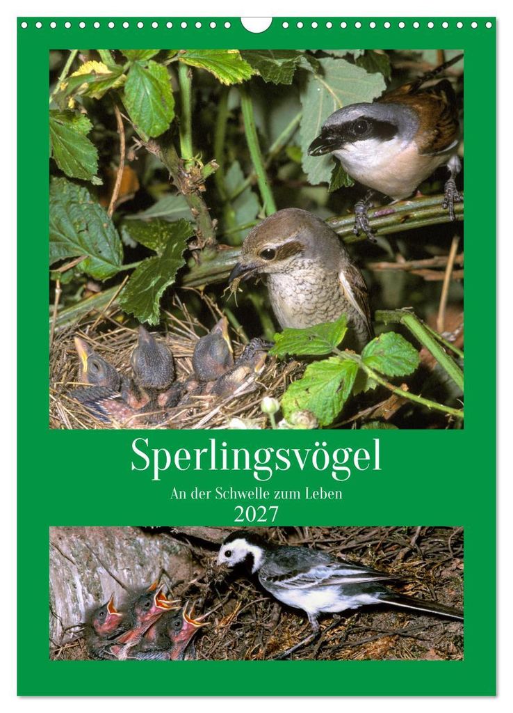 Sperlingsvögel an der Schwelle zum Leben (Wandkalender 2027 DIN A3 hoch), CALVENDO Monatskalender