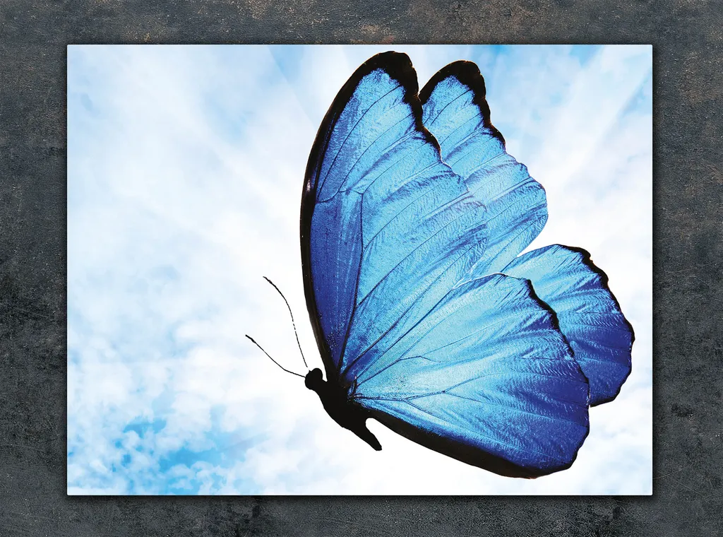 Tagliere Multiglass 30x22 Butterfly Blue: Piastra Copriforno in Vetro - 3