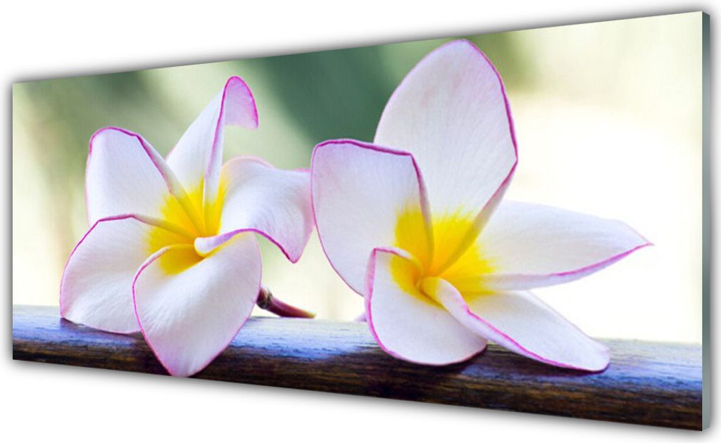 Acrylglasbilder 125x50 Wandbild Druck Blumen Pflanzen