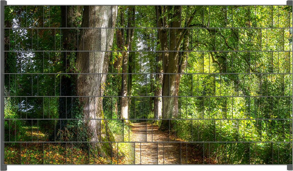 Wallario Zaunsichtschutz mit Motiv Weg im Sonnenlicht für Ein- und Doppelstabmatten Zäune in der Größe 250 x 140 cm