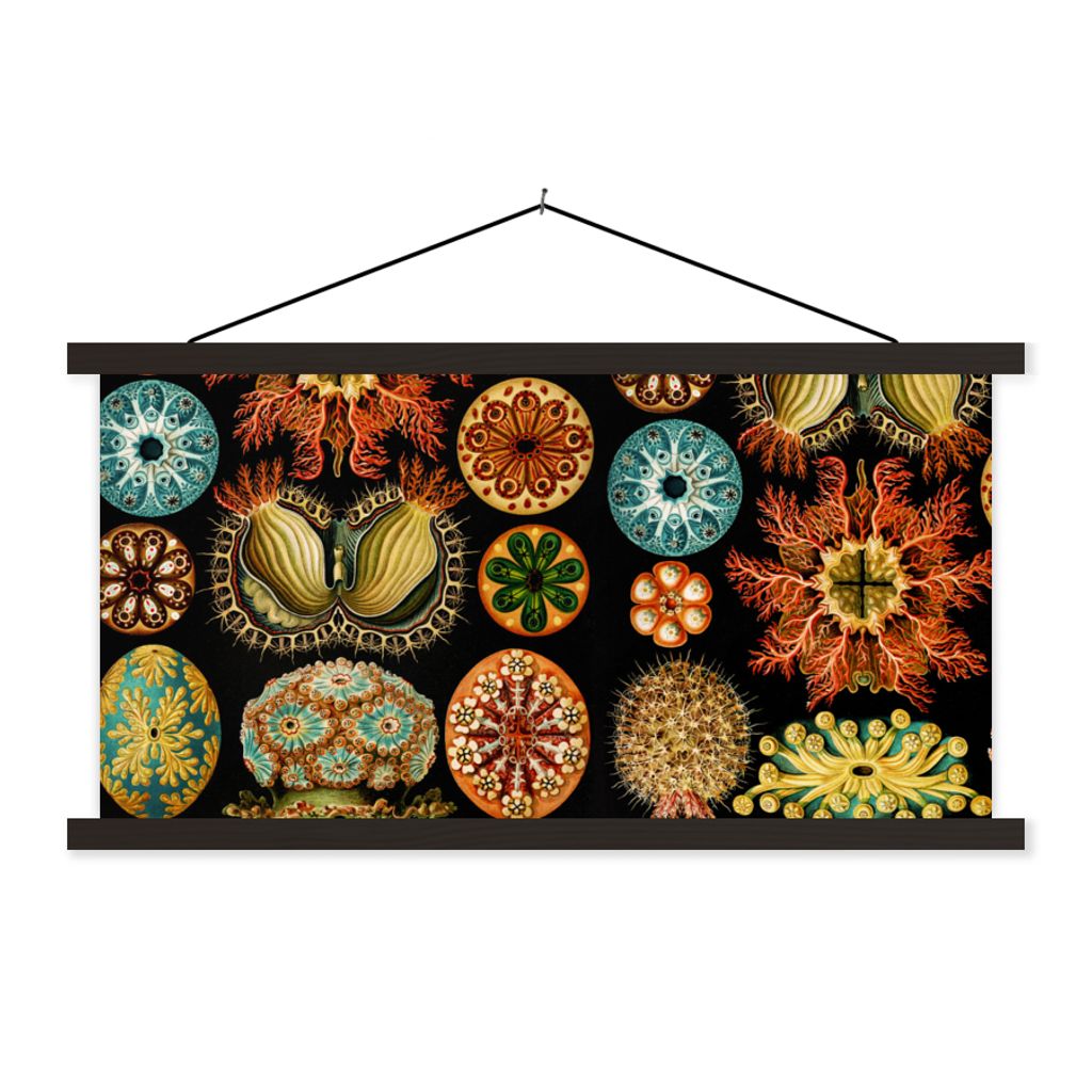MuchoWow Textilposter Vintage - Ernst Haeckel - Meerestier - Natur - Meer - Kunst 90x45 cm mit schwarzem Rahmen - Klemmleisten