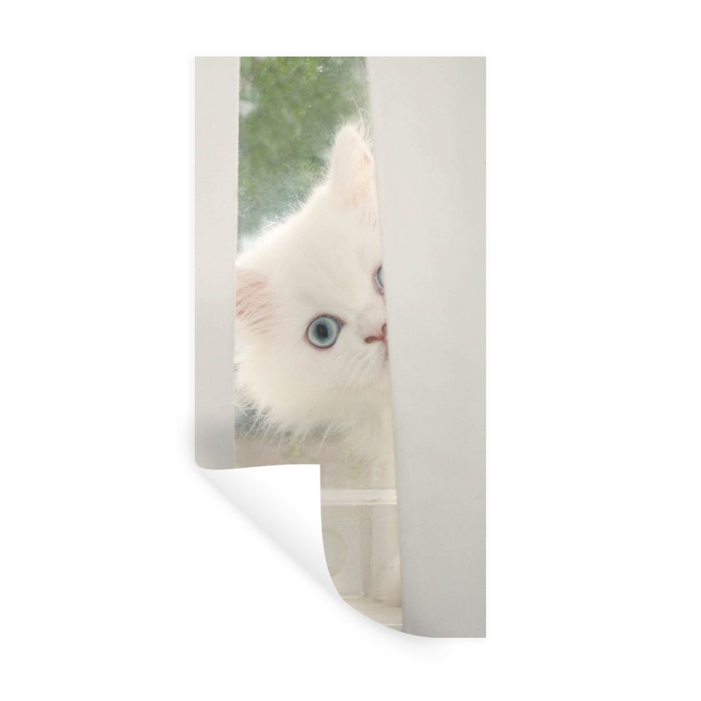 MuchoWow Wandtattoo Wandsticker Wandaufkleber Weiße Perserkatze mit blauen Augen schaut durch den Vorhang 20x40 cm Selbstklebend und Repositioni...