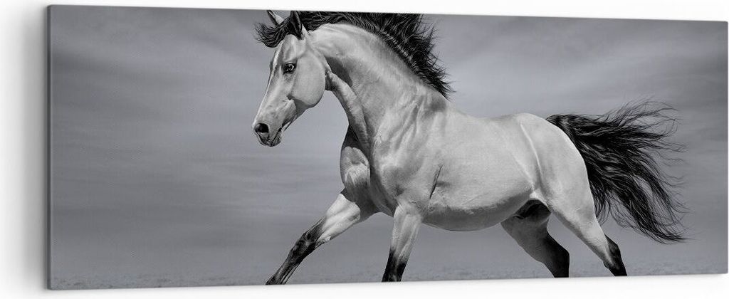 Bild auf Leinwand - Leinwandbild - Pferd Tier Natur - 140x50cm - Wand Bild - Wanddeko - Wandbilder - Leinwanddruck - Bilder - Kunstdruck - Wanddeko...
