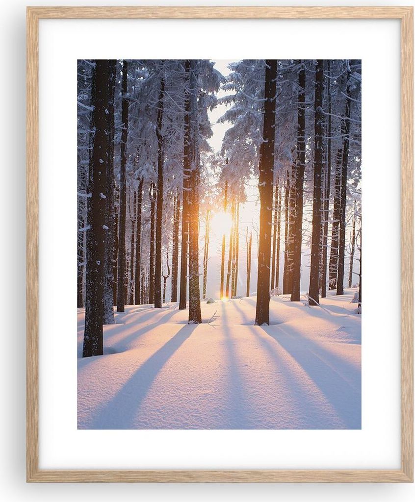 Gerahmtes Poster - Rahmen in heller Eiche - Wald Winter Produktbild 