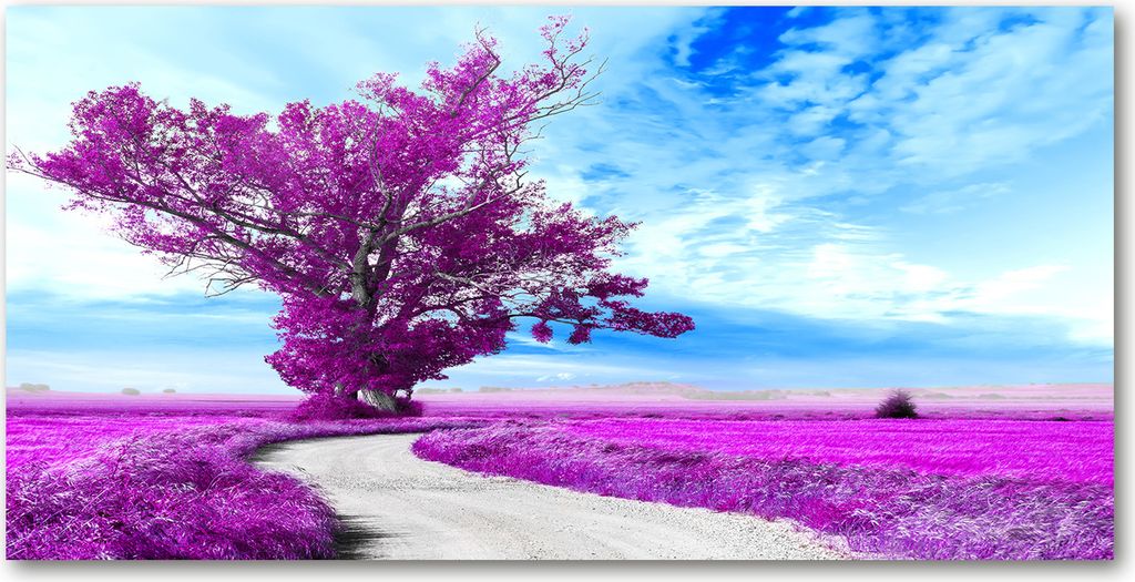 Tulup Glas-Bild -140x70- Wandkunst Dekorative Wand für Küche & Wohnzimmer - Blumen & Pflanzen - Baum Pfad - Lila