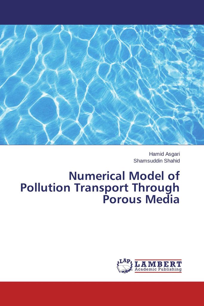 Numerical Model of Pollution Transport Through Porous Media