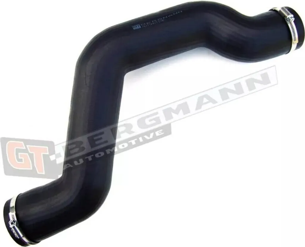 GT-BERGMANN GT52-117 Tuyau Turbo pour Renault Mascott Fourgon 500331006